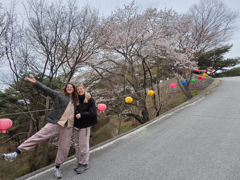 KakaoTalk_20250409_122929702_03.jpg 이미지