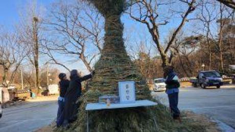 작은 .jpg 이미지